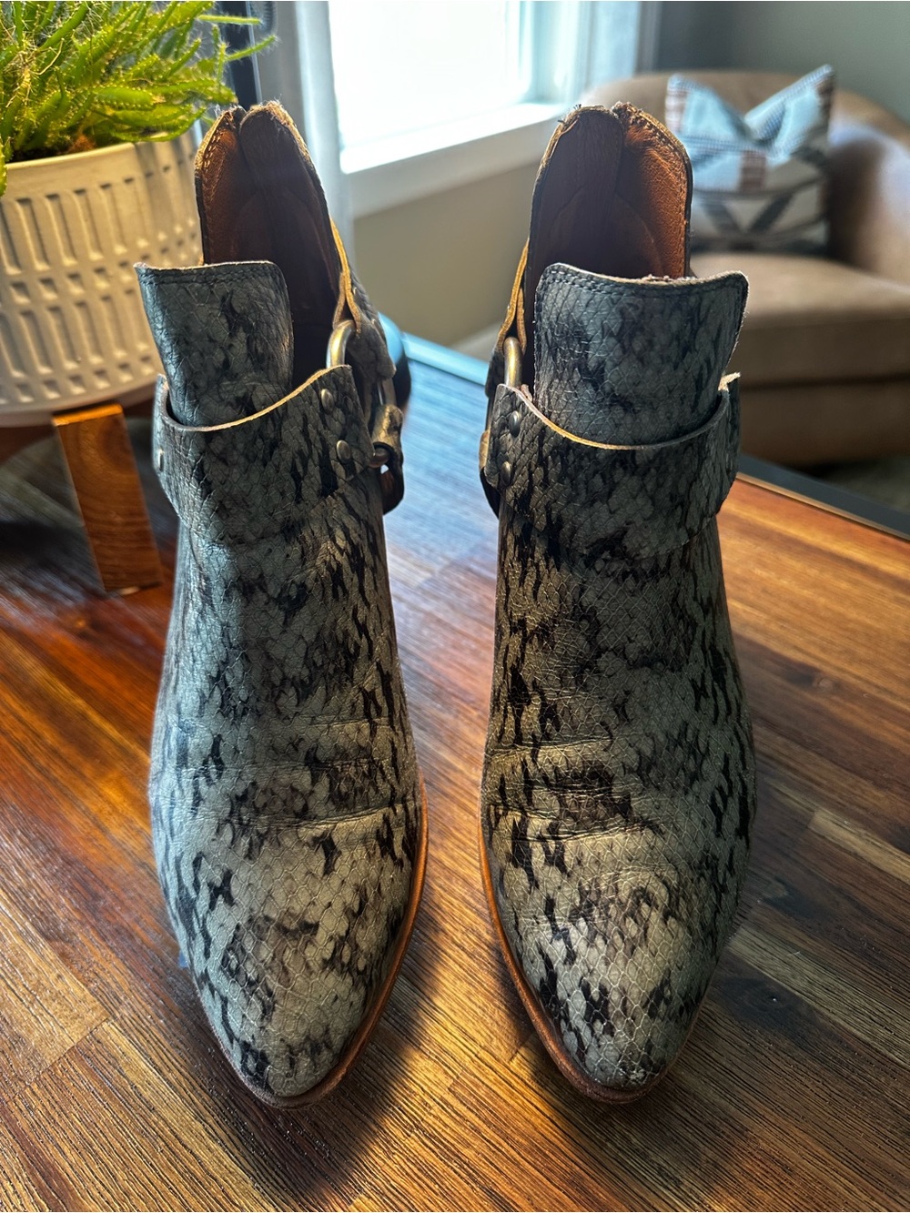 Frye Women’s Black & Green Snake-Print Ankle Boots